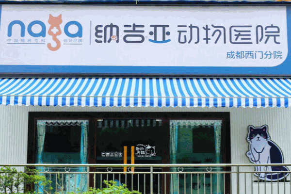 納吉亞動物診所