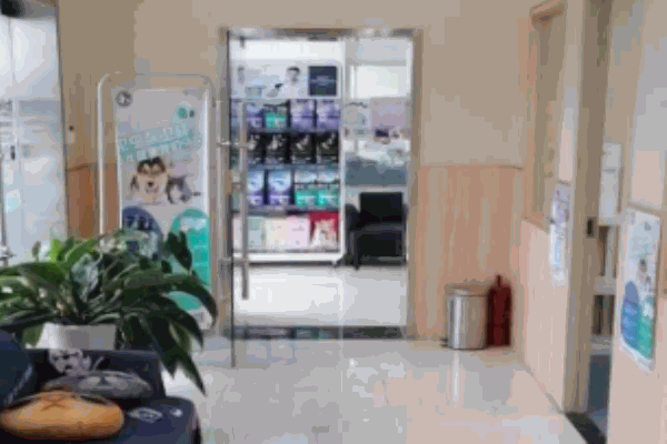 京和動物醫(yī)院