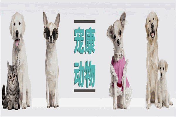 寵康寵物醫(yī)院