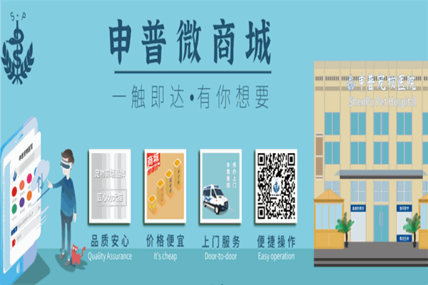 申普寵物醫(yī)院