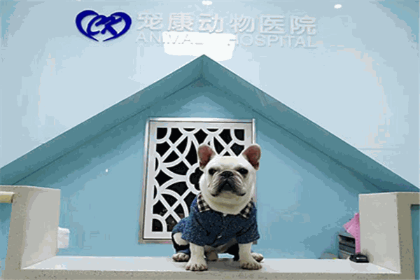 寵康寵物醫(yī)院