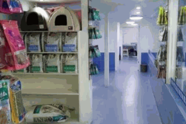 我愛我愛寵物醫(yī)院