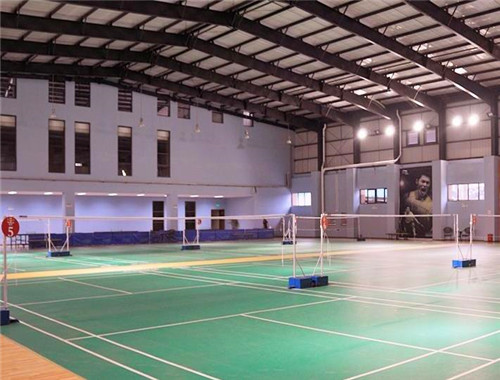 宏毅逸飛運(yùn)動(dòng)館