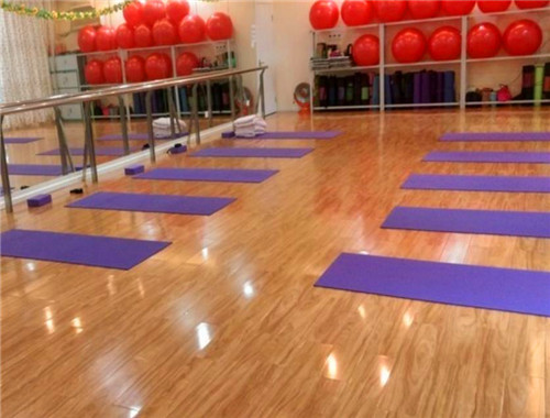 宏毅逸飛運(yùn)動(dòng)館