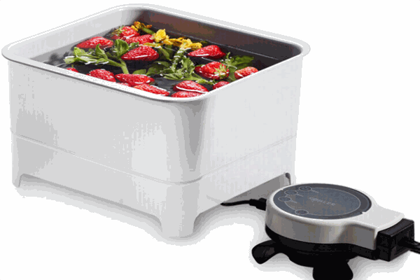 蔬衛(wèi)士洗菜機(jī)