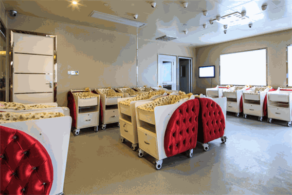 都市麗人月子中心產(chǎn)后恢復(fù)