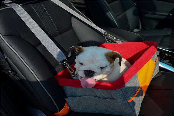 優(yōu)比熊安全座椅