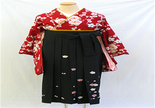 netaikyo熱帶魚服飾