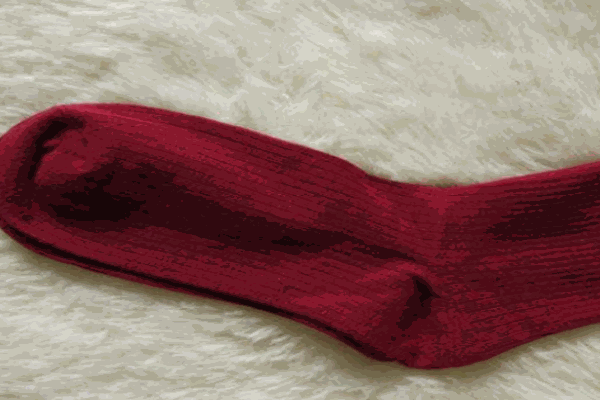 賽格獅丹襪業(yè)