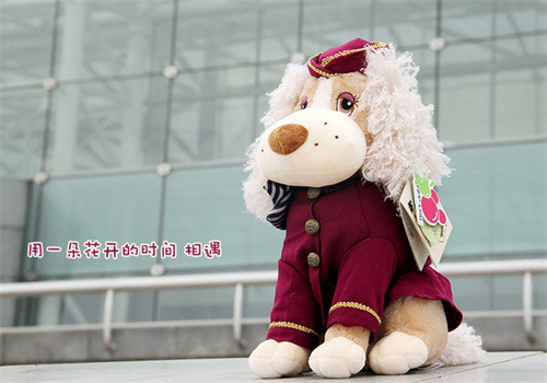 紅泡泡綠果果玩具