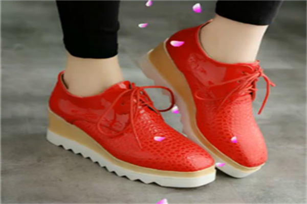 巴姿女鞋鞋業(yè)