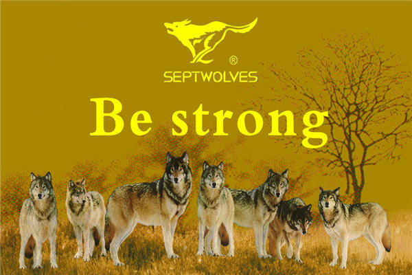 七匹狼鞋業(yè)