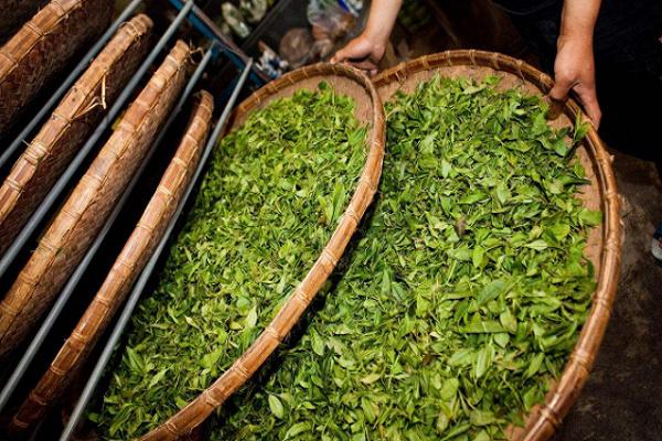 斗室文化生活館