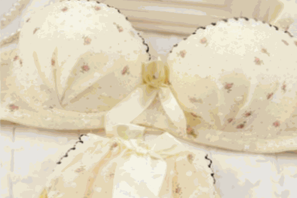 韓蔓詩內(nèi)衣