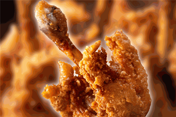 楊強(qiáng)芙蓉香骨雞腿