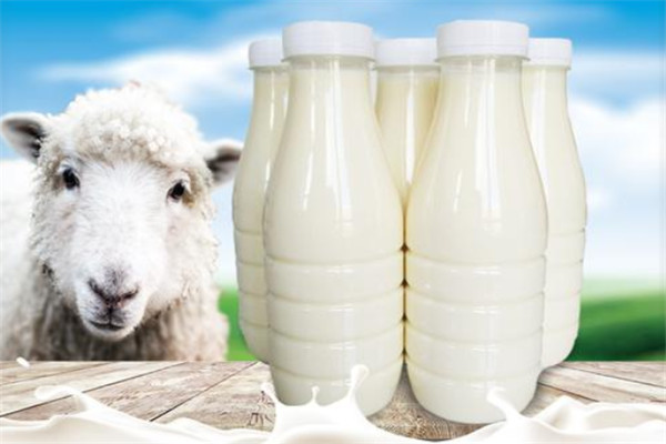 久牧鮮羊奶