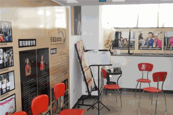 笨鳥(niǎo)樂(lè)器培訓(xùn)