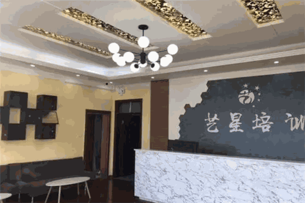 藝星藝術(shù)培訓學校