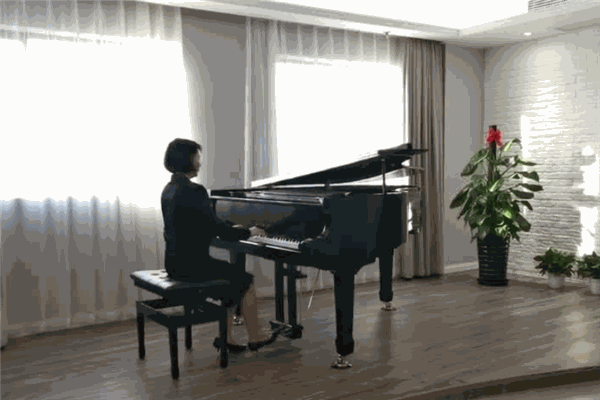 APOLLO鋼琴演奏藝術(shù)琴行鋼琴培訓(xùn)