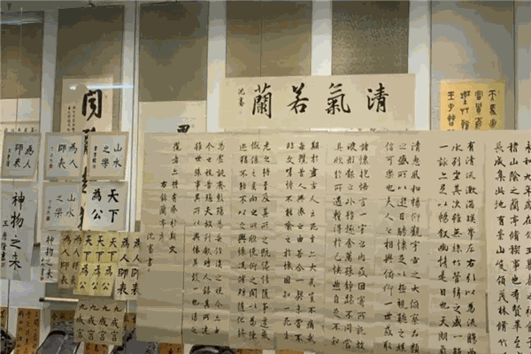 雅書書法培訓(xùn)