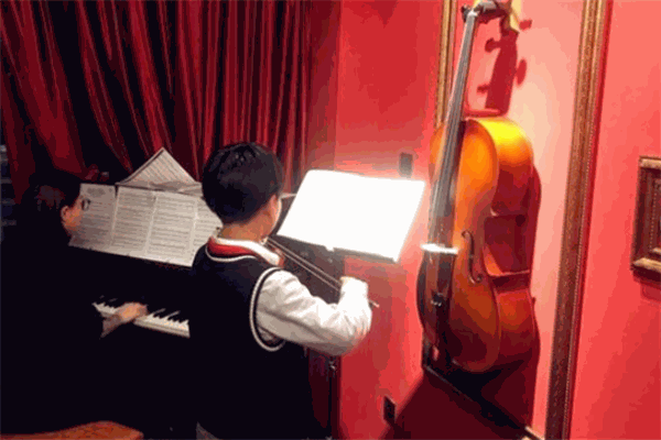 Bravo驚喜樂(lè)隊(duì)研究所