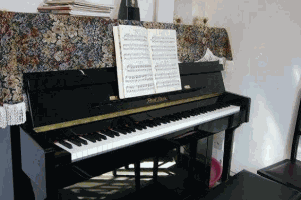 琴詩(shī)藝術(shù)