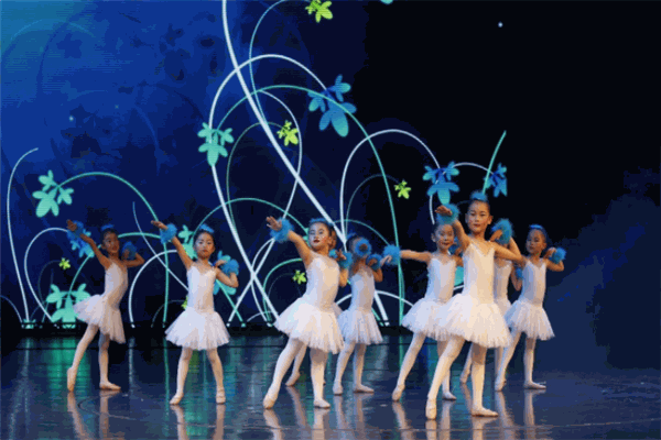 愛表演藝術(shù)