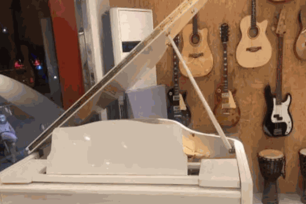 嘟嘟琴行琴哆哆