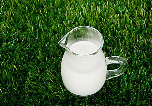 田園牧場(chǎng)鮮奶吧