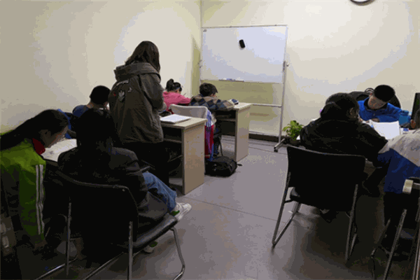 龍騰藝術(shù)生文化課培訓(xùn)