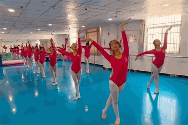 戈雅舞韻藝術學苑教育