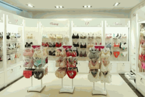 纖婷雅內(nèi)衣