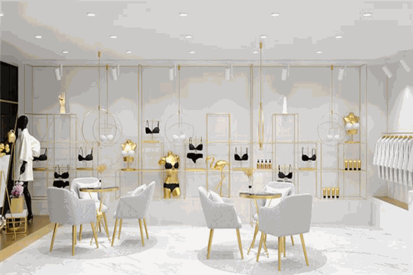 密汐皙迪內(nèi)衣