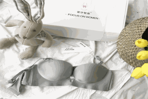 密汐皙迪內(nèi)衣