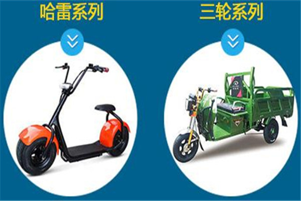 愛(ài)路迪電動(dòng)車(chē)