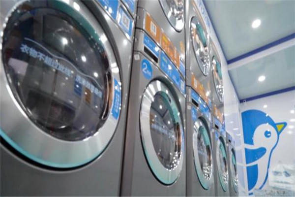 企鵝共享洗衣機