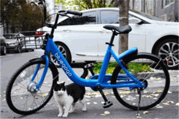 小藍(lán)單車(chē)