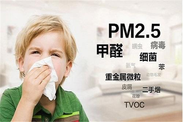 房醫(yī)生除甲醛