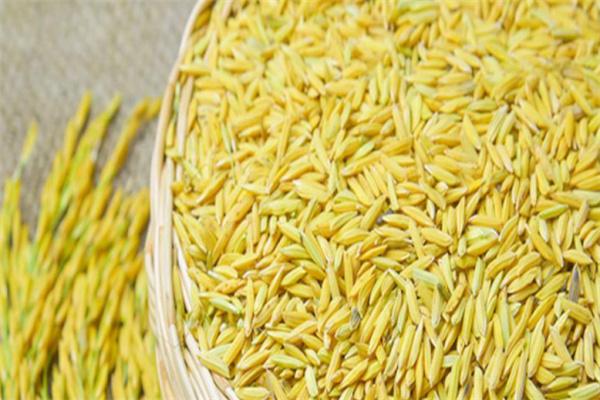 谷香園五谷雜糧