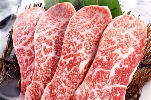 黑?？救獾? /><p>黑牛烤肉店，采用制造/精制的自有工藝和味道，融合中韓傳統(tǒng)文化“藥食同源”理念，巧妙搭配科學(xué)飲食，采用山野高麗參及種草藥做輔料，嚴(yán)格的質(zhì)量扶持融合傳統(tǒng)文化“藥食同源”理念，巧妙搭配科學(xué)飲食，使黑?？救獾赀_(dá)到養(yǎng)生滋補(bǔ)的結(jié)果。</p><p>黑?？救獾臧秧n國飲食文化和現(xiàn)代美食與養(yǎng)生很好結(jié)合，打造“美味時尚、 快樂健康”的飲食新理念。推廣新興的美味健康養(yǎng)生燒烤食品，具有韓式飲食的文化內(nèi)涵(即人人都喜歡美味時尚)和順應(yīng)新時代迫切需求(即人人喜歡快樂健康)。</p><img src=