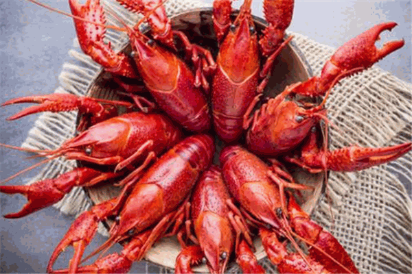 江小胖的龍蝦生活