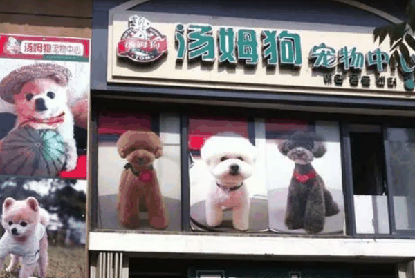 湯姆狗寵物中心
