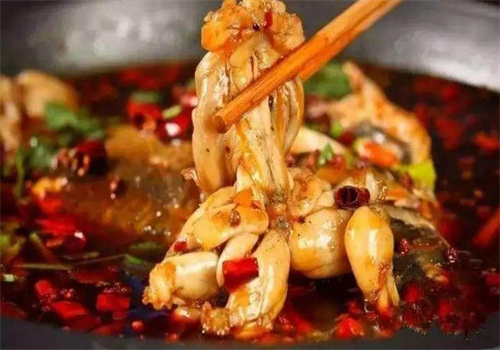 廚司令美蛙魚頭