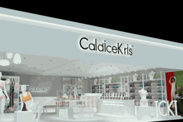 CK內(nèi)衣（Caldicekris）