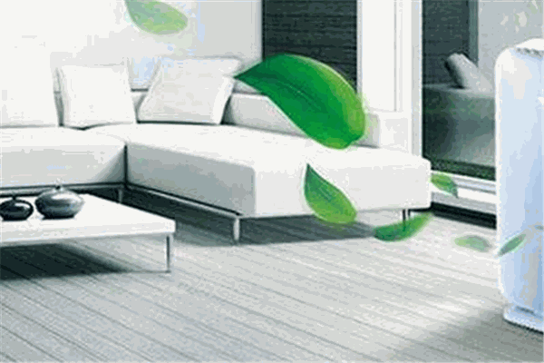 益人世紀(jì)凈化器