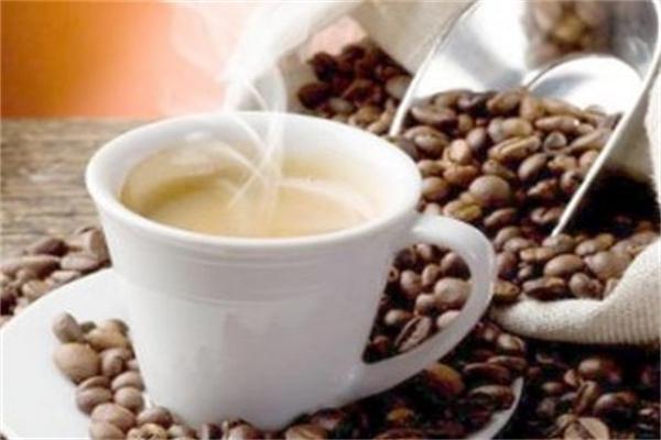 比目魚路貓咖啡