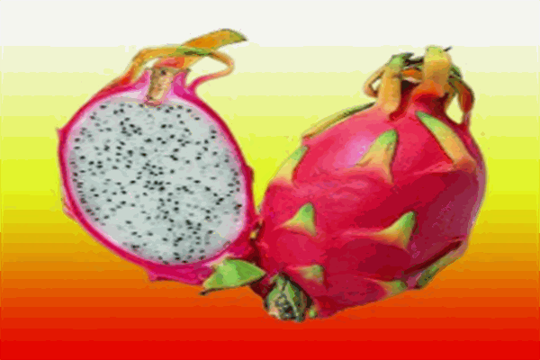 鄰百百團(tuán)購(gòu)