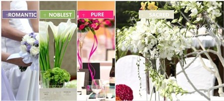 無(wú)尚摯愛(ài)婚典